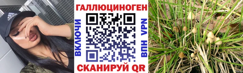 где купить   Лихославль  площадка наркотические препараты  Псилоцибиновые грибы ЛСД 