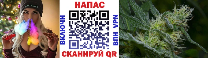 Бошки марихуана марихуана наркошоп Лихославль